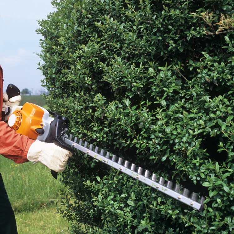 Just another WordPress site